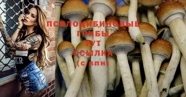 меф Касимов