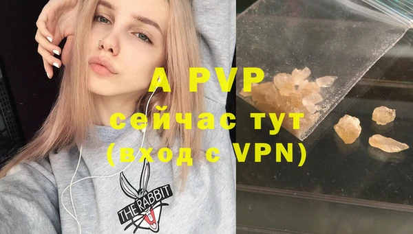 ALPHA PVP Каменногорск