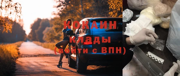 мет Каменка